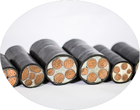 東北黄瓜视频成年污 東北黄瓜视频成年污